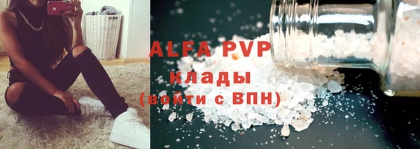 винт Ельня