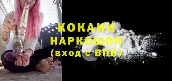 винт Ельня