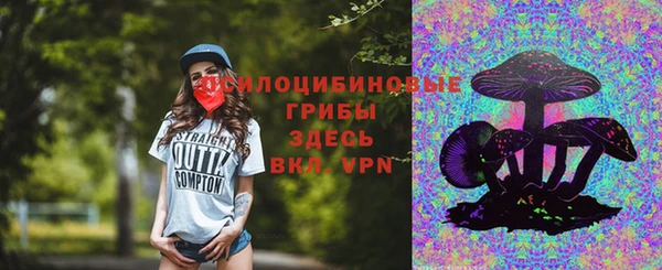 хмурый Нестеровская