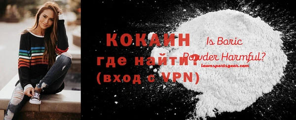 винт Ельня