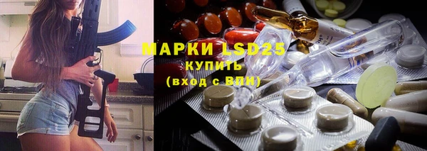 винт Ельня