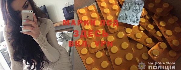 винт Ельня
