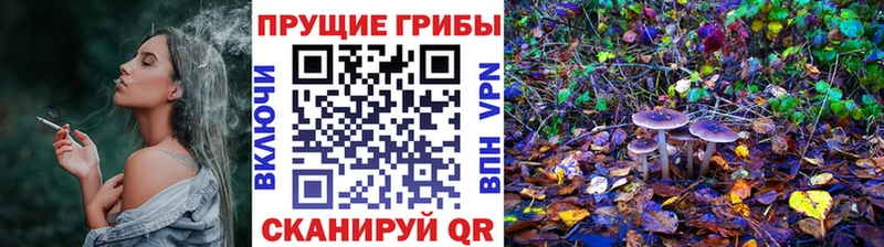 Псилоцибиновые грибы ЛСД  Темников 